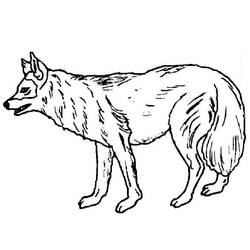 Раскраска: собака (Животные) #21 - Бесплатные раскраски для печати
