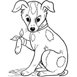 Раскраска: собака (Животные) #27 - Бесплатные раскраски для печати