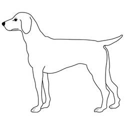 Раскраска: собака (Животные) #3123 - Бесплатные раскраски для печати