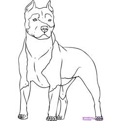 Раскраска: собака (Животные) #3149 - Бесплатные раскраски для печати