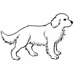 Раскраска: собака (Животные) #3158 - Бесплатные раскраски для печати