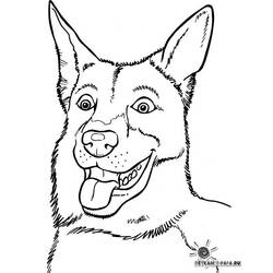 Раскраска: собака (Животные) #3218 - Бесплатные раскраски для печати