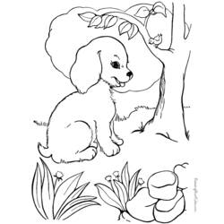 Раскраска: собака (Животные) #39 - Бесплатные раскраски для печати