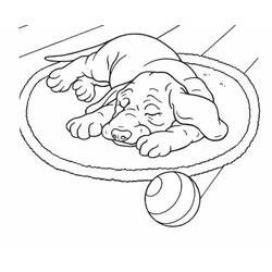 Раскраска: собака (Животные) #51 - Бесплатные раскраски для печати