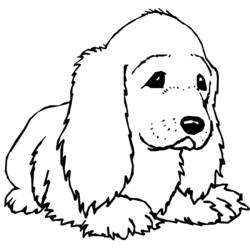 Раскраска: собака (Животные) #6 - Бесплатные раскраски для печати