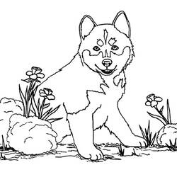 Раскраска: собака (Животные) #61 - Бесплатные раскраски для печати