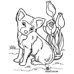 Раскраска: собака (Животные) #69 - Бесплатные раскраски для печати