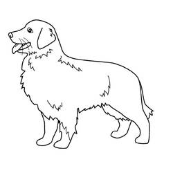 Раскраска: собака (Животные) #7 - Бесплатные раскраски для печати