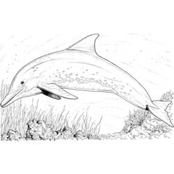 Раскраска: дельфин (Животные) #5092 - Бесплатные раскраски для печати