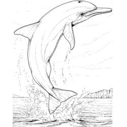 Раскраска: дельфин (Животные) #5100 - Бесплатные раскраски для печати