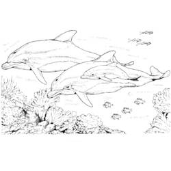 Раскраска: дельфин (Животные) #5107 - Бесплатные раскраски для печати