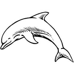 Раскраска: дельфин (Животные) #5120 - Бесплатные раскраски для печати