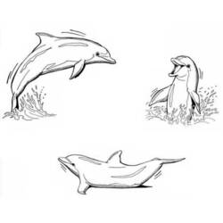 Раскраска: дельфин (Животные) #5126 - Бесплатные раскраски для печати