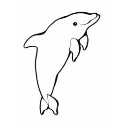 Раскраска: дельфин (Животные) #5151 - Бесплатные раскраски для печати