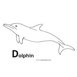 Раскраска: дельфин (Животные) #5157 - Бесплатные раскраски для печати