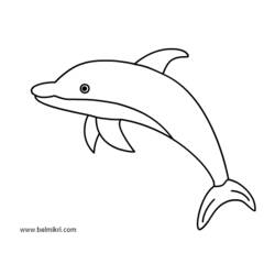 Раскраска: дельфин (Животные) #5162 - Бесплатные раскраски для печати