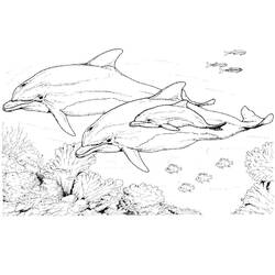 Раскраска: дельфин (Животные) #5168 - Бесплатные раскраски для печати