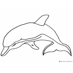 Раскраска: дельфин (Животные) #5186 - Бесплатные раскраски для печати