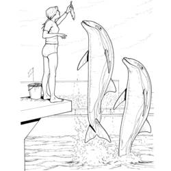 Раскраска: дельфин (Животные) #5191 - Бесплатные раскраски для печати