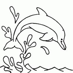 Раскраска: дельфин (Животные) #5212 - Бесплатные раскраски для печати