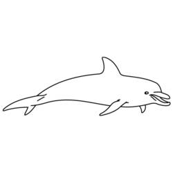 Раскраска: дельфин (Животные) #5224 - Бесплатные раскраски для печати
