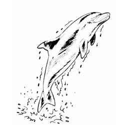 Раскраска: дельфин (Животные) #5246 - Бесплатные раскраски для печати