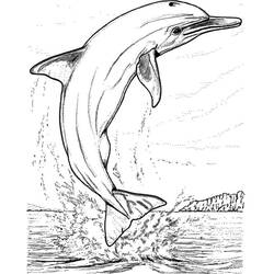 Раскраска: дельфин (Животные) #5247 - Бесплатные раскраски для печати