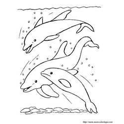 Раскраска: дельфин (Животные) #5251 - Бесплатные раскраски для печати