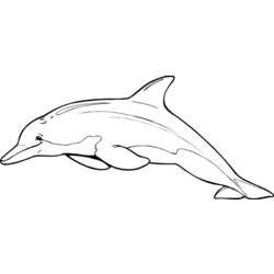 Раскраска: дельфин (Животные) #5253 - Бесплатные раскраски для печати