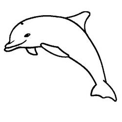 Раскраска: дельфин (Животные) #5283 - Бесплатные раскраски для печати