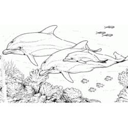 Раскраска: дельфин (Животные) #5284 - Бесплатные раскраски для печати