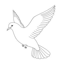 Раскраска: голубь (Животные) #3895 - Бесплатные раскраски для печати