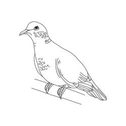 Раскраска: голубь (Животные) #3903 - Бесплатные раскраски для печати