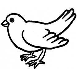 Раскраска: голубь (Животные) #3959 - Бесплатные раскраски для печати