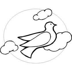 Раскраска: голубь (Животные) #3972 - Бесплатные раскраски для печати
