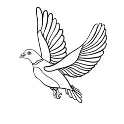 Раскраска: голубь (Животные) #3986 - Бесплатные раскраски для печати