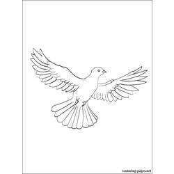 Раскраска: голубь (Животные) #4008 - Бесплатные раскраски для печати