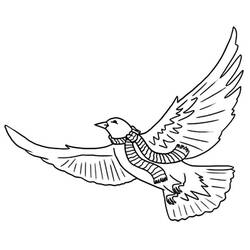 Раскраска: голубь (Животные) #4010 - Бесплатные раскраски для печати