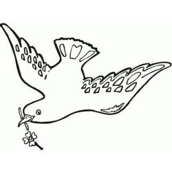 Раскраска: голубь (Животные) #4028 - Бесплатные раскраски для печати
