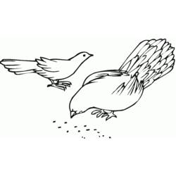 Раскраска: голубь (Животные) #4050 - Бесплатные раскраски для печати