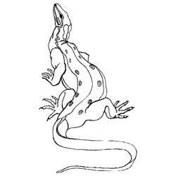 Раскраска: дракон (Животные) #5838 - Бесплатные раскраски для печати