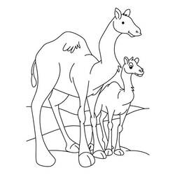 Раскраска: дромадер (Животные) #5940 - Бесплатные раскраски для печати