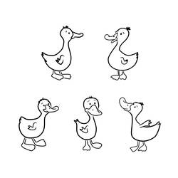 Раскраска: утка (Животные) #1446 - Бесплатные раскраски для печати