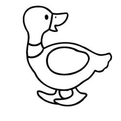 Раскраска: утка (Животные) #1447 - Бесплатные раскраски для печати