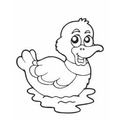 Раскраска: утка (Животные) #1454 - Бесплатные раскраски для печати