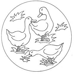 Раскраска: утка (Животные) #1469 - Бесплатные раскраски для печати
