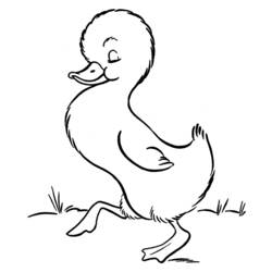 Раскраска: утка (Животные) #1479 - Бесплатные раскраски для печати