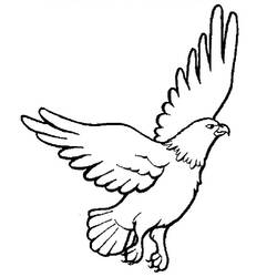 Раскраска: орел (Животные) #275 - Бесплатные раскраски для печати