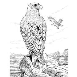 Раскраска: орел (Животные) #277 - Бесплатные раскраски для печати