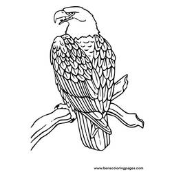 Раскраска: орел (Животные) #279 - Бесплатные раскраски для печати